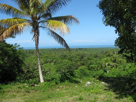 Dominican Republic Land for Sale